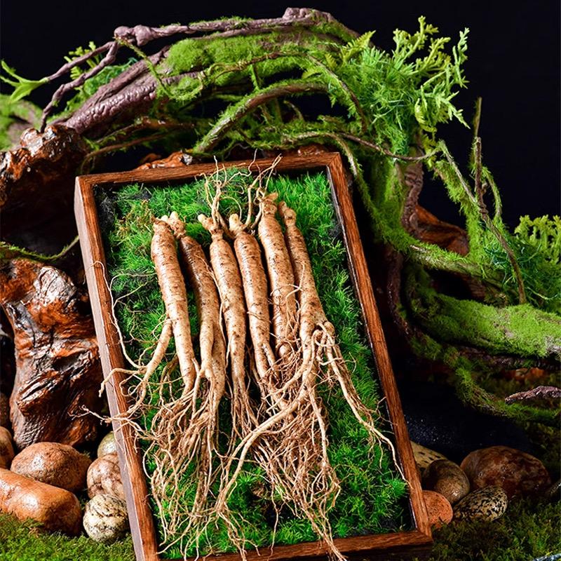 华新鲜人参严选