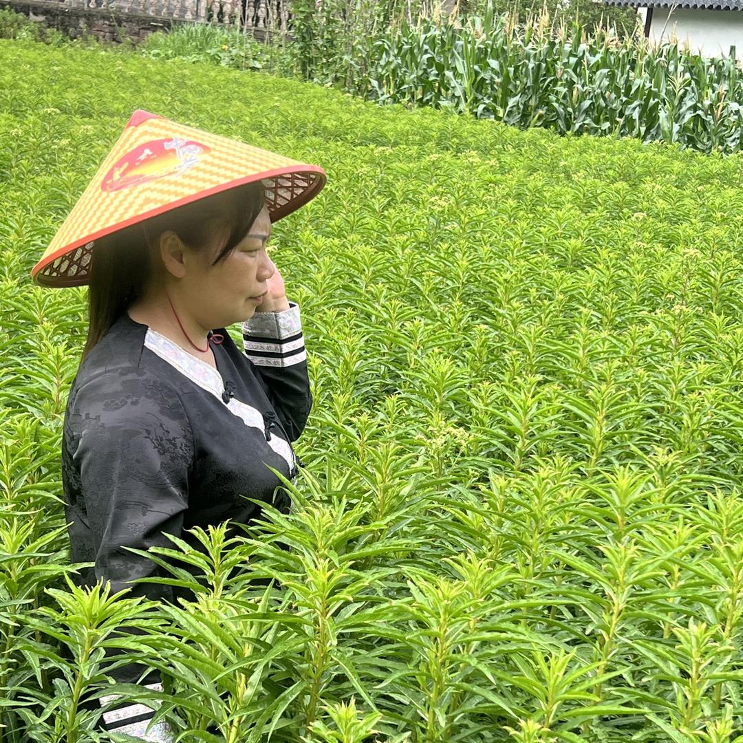 欣姐说古方