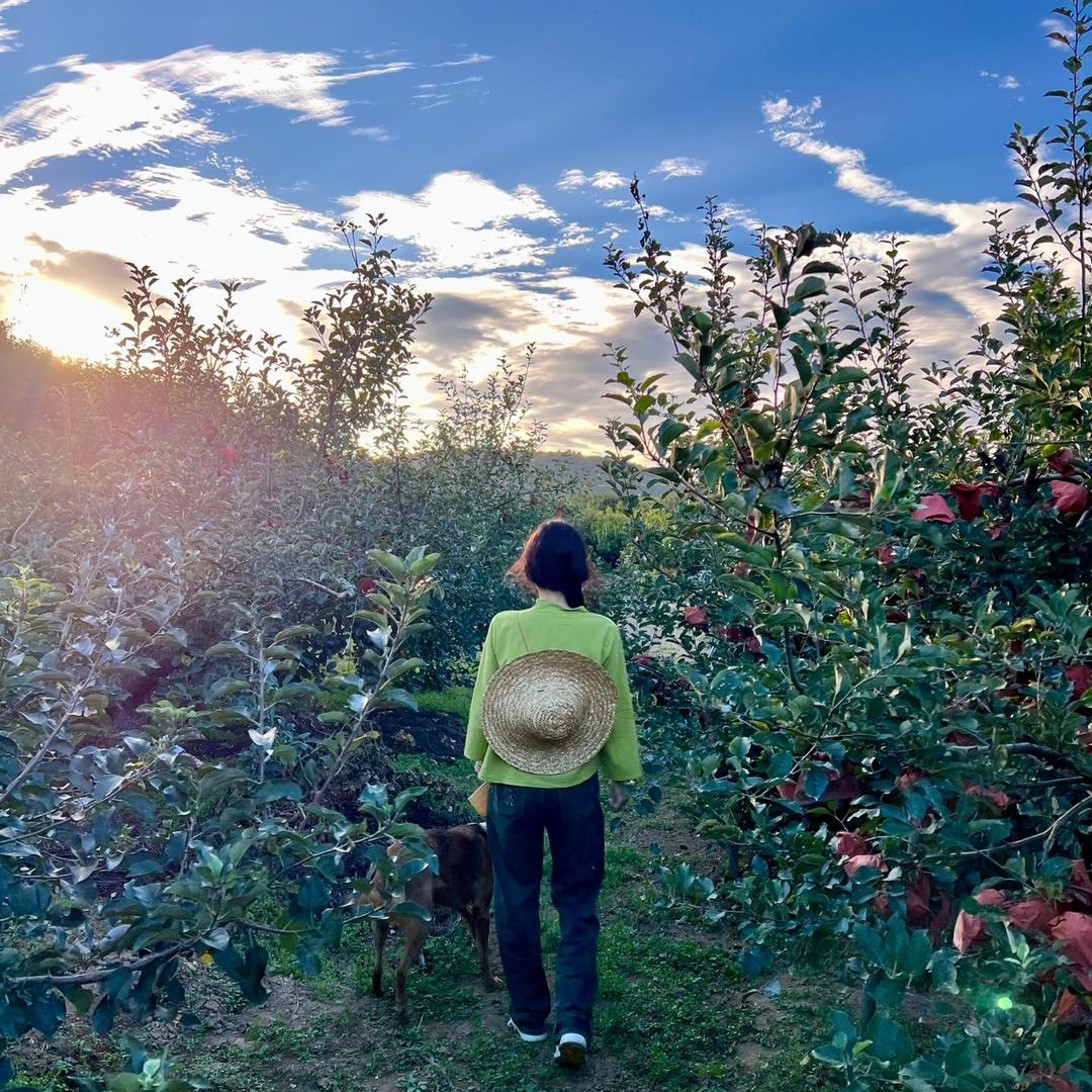 王鲜生水果甄选