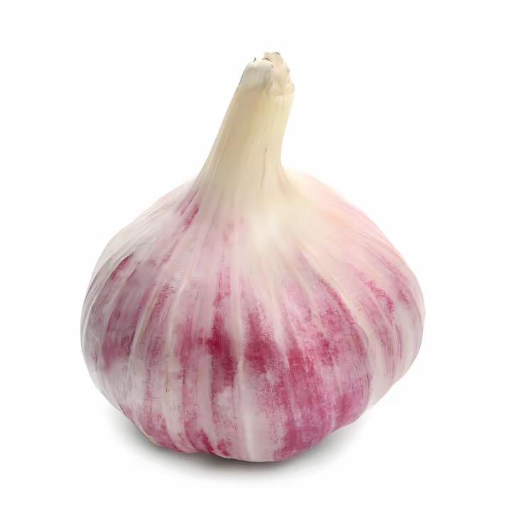 性感大蒜
