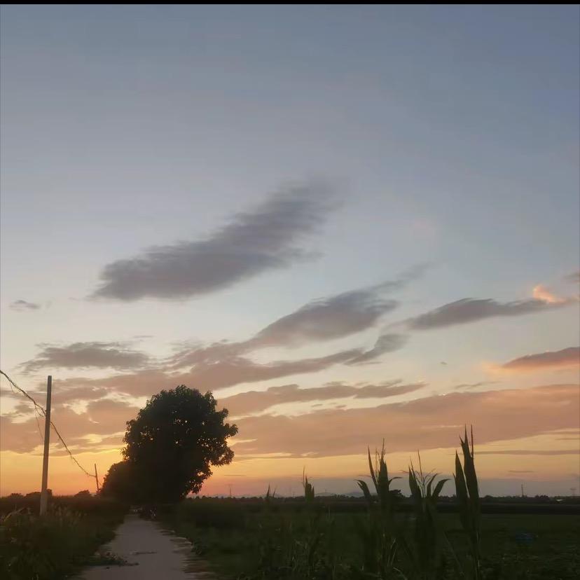 ✈️战西机械师