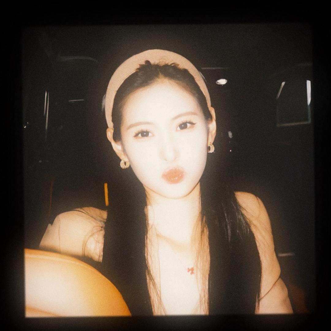 W.dandelion丹