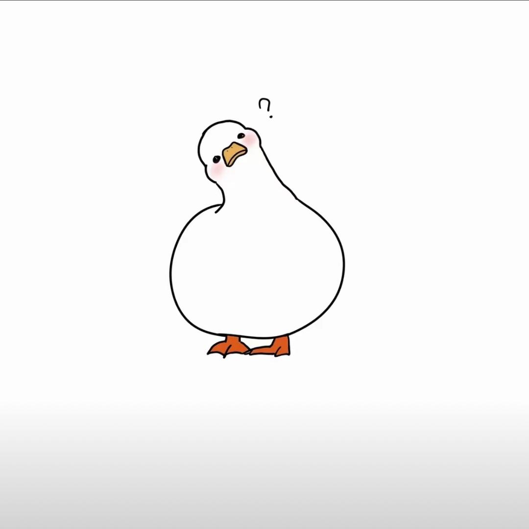 大北斗的小星星