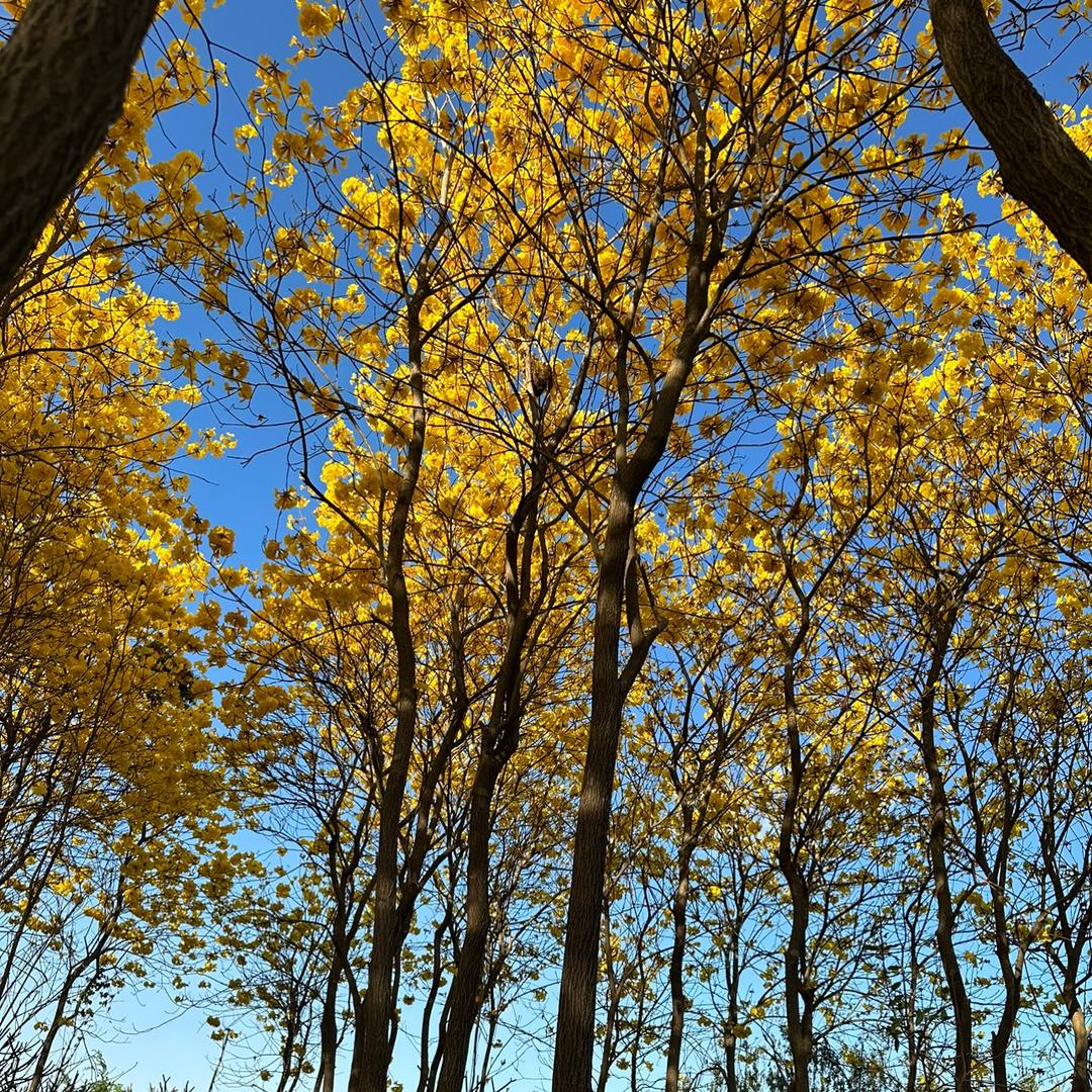 潮汕姐不是传说