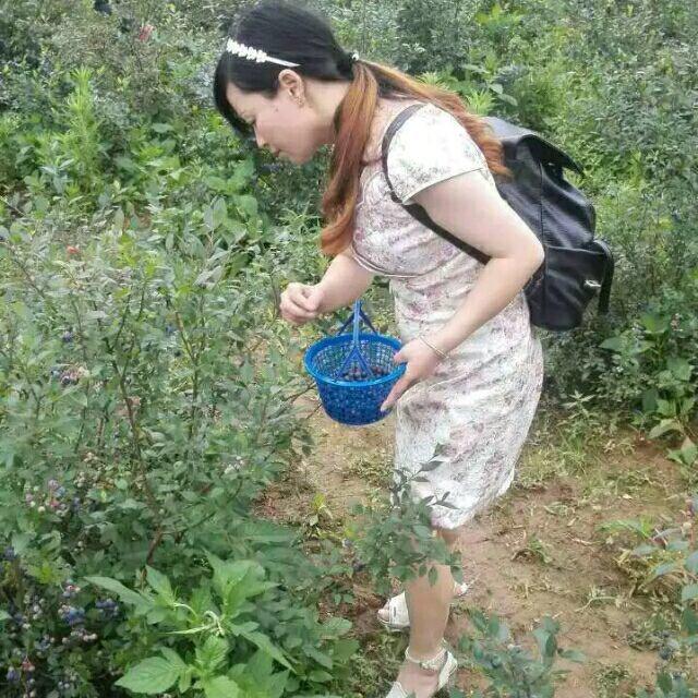半月十五MZP