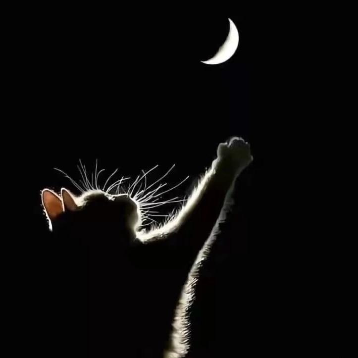 ༄✒❧独家记忆