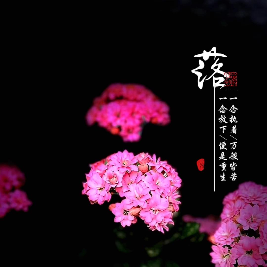 🧸双面🎭白羊♈️