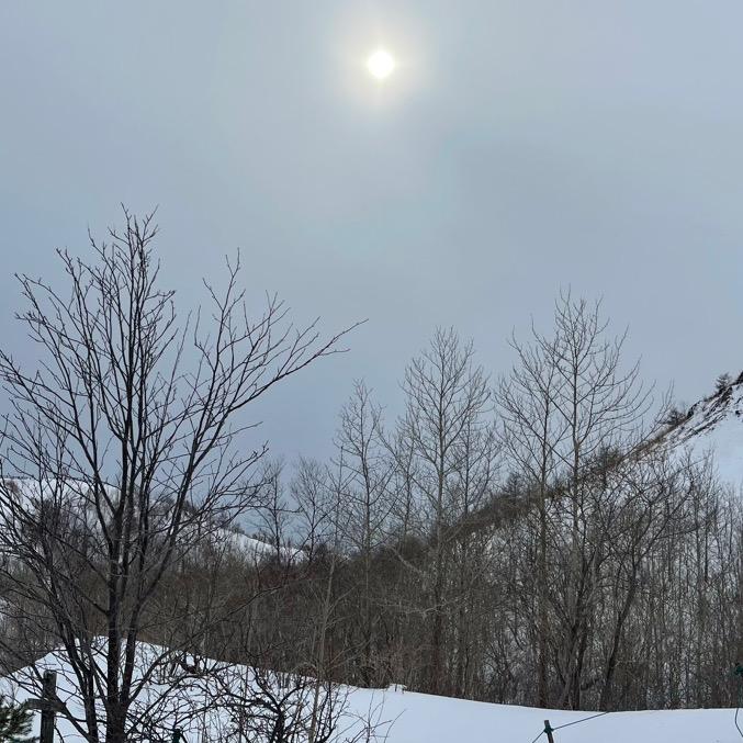 🐳 蓝朋友👨🏿‍🦳