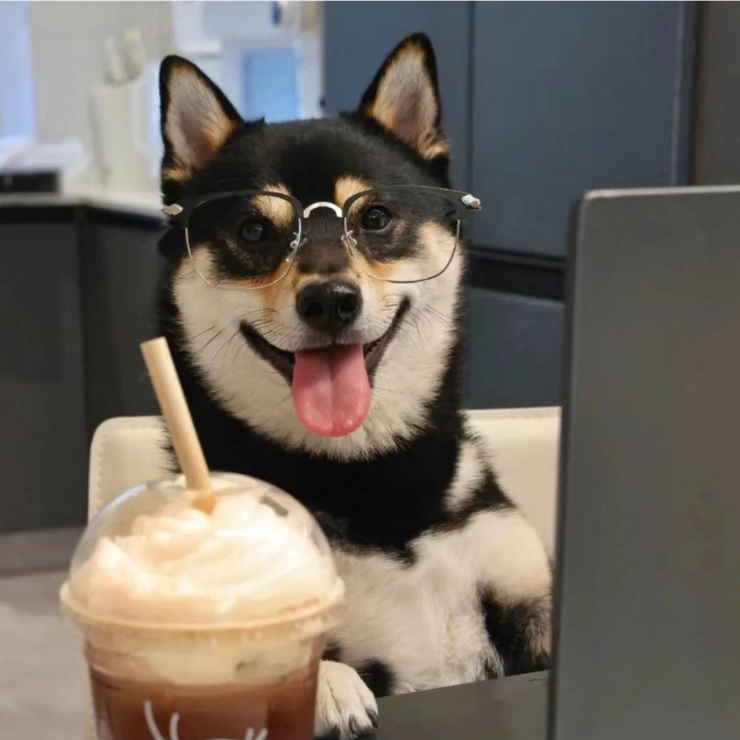 英语秋贺（招生版）