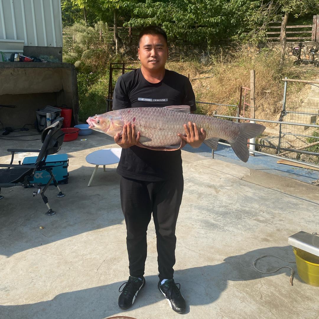 小志钓鱼🎣