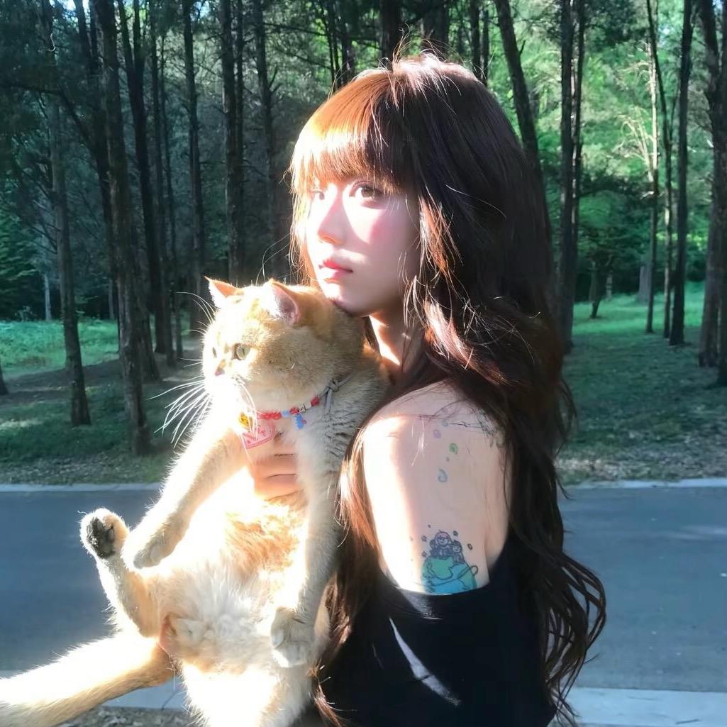 -蜡笔小鑫.