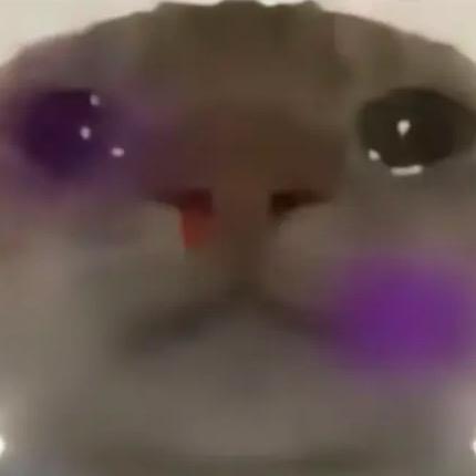 花花鼠（已破产）