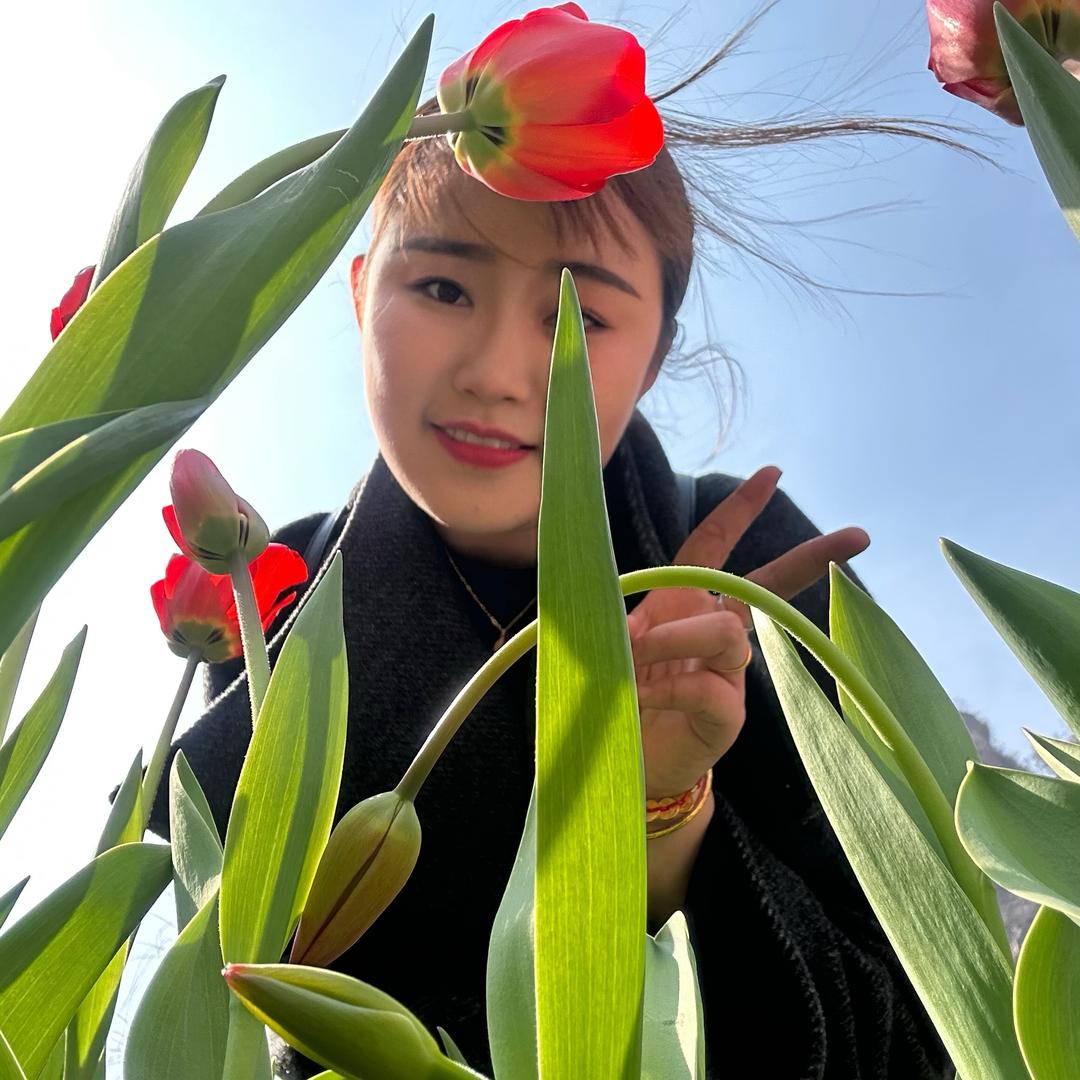 喜杨杨