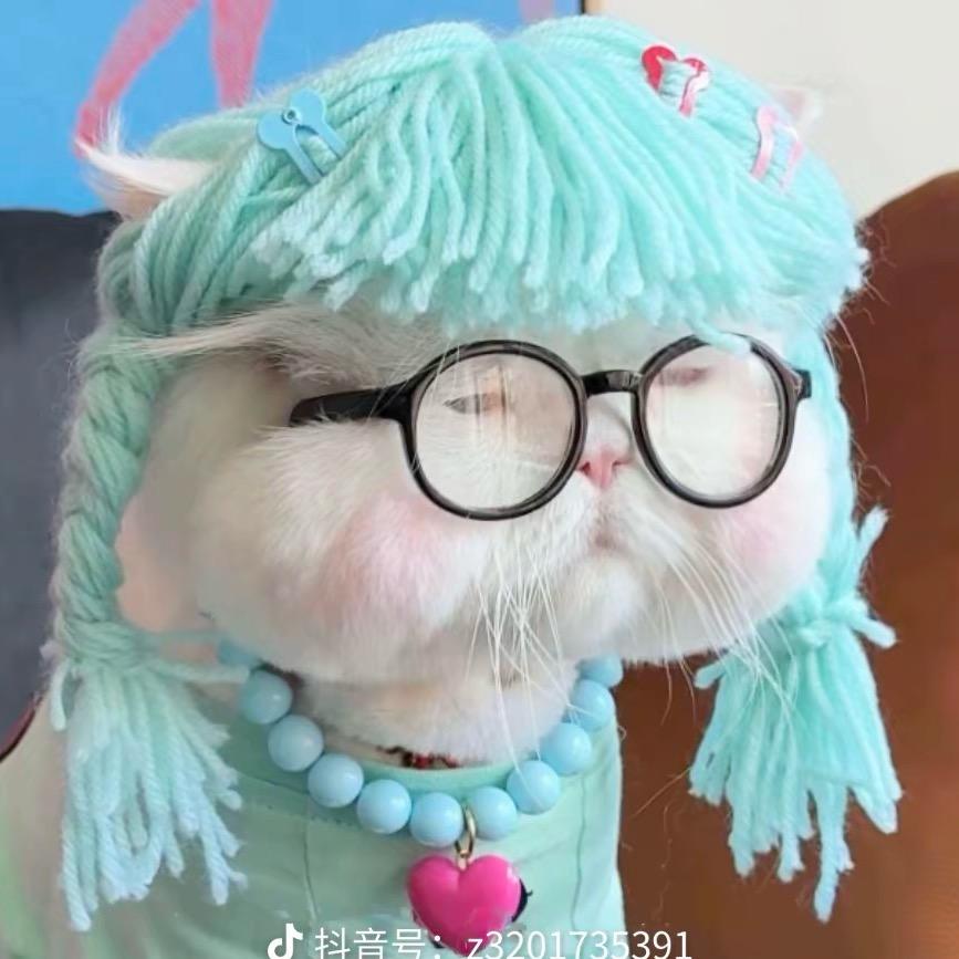 ᥫᩣ.