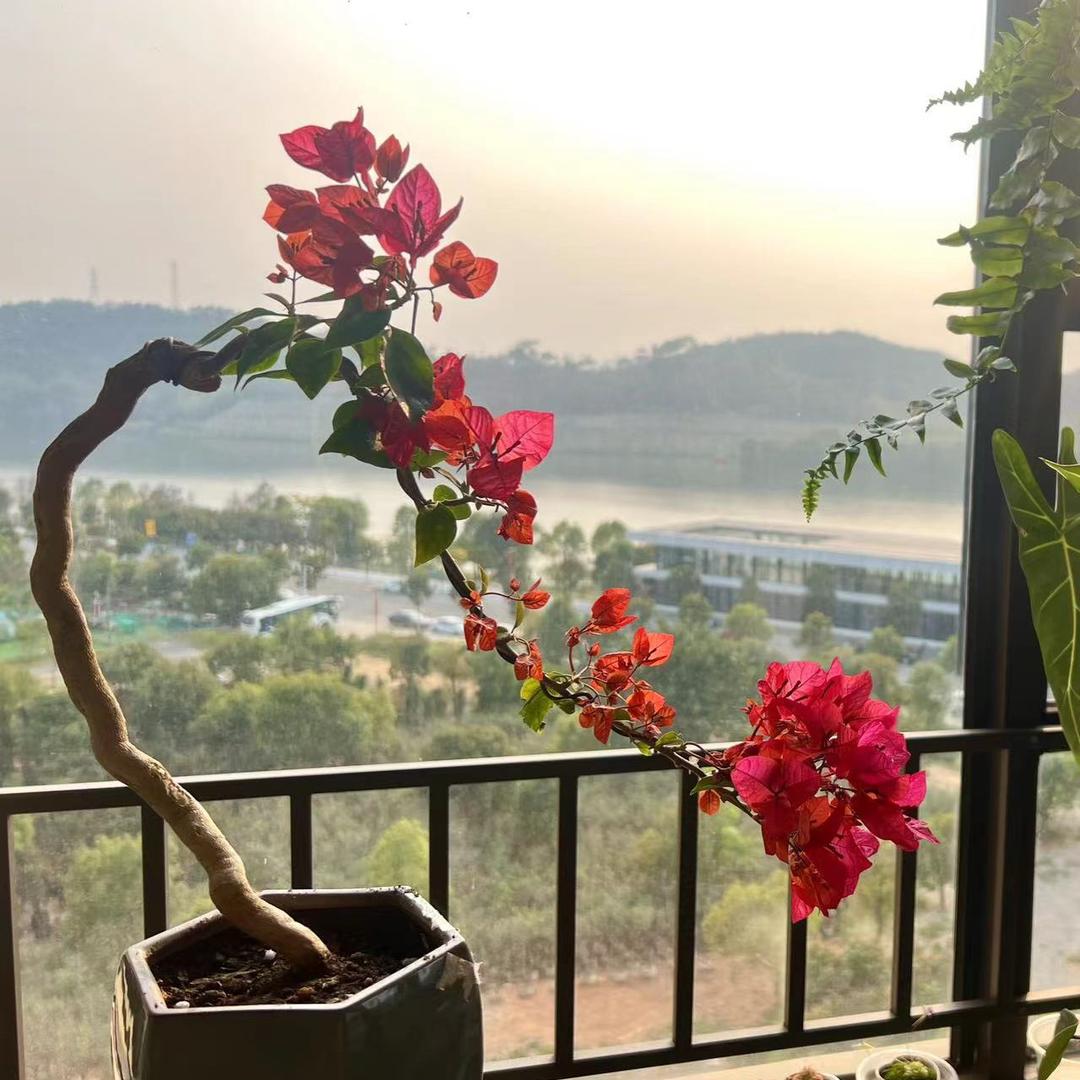 东南花坊