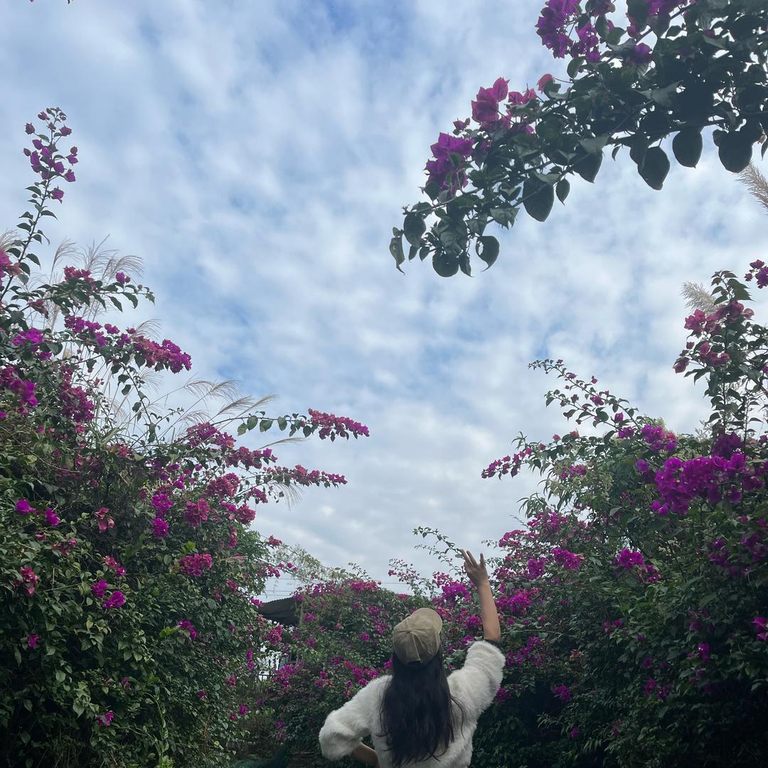 🍃林兮雅