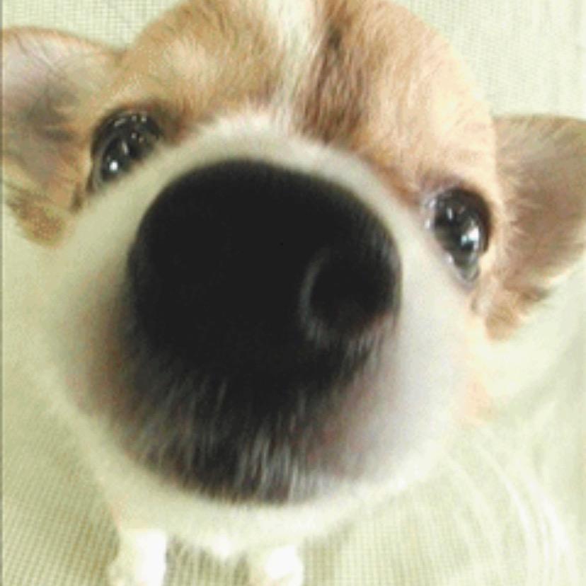 ⁹⁰老头子