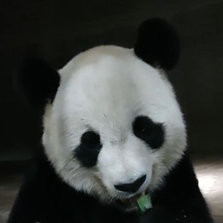 天津光合谷动物园