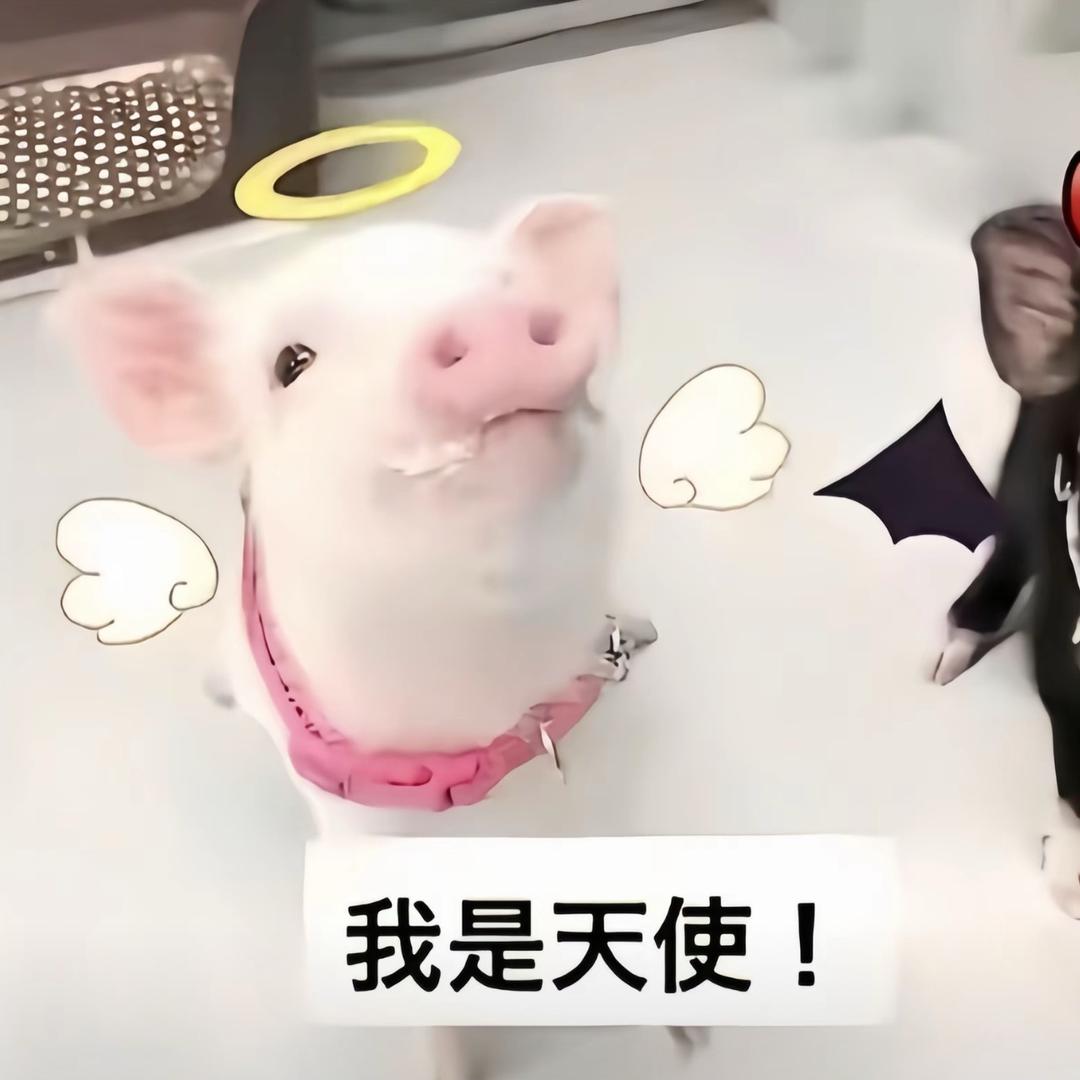 哀宝
