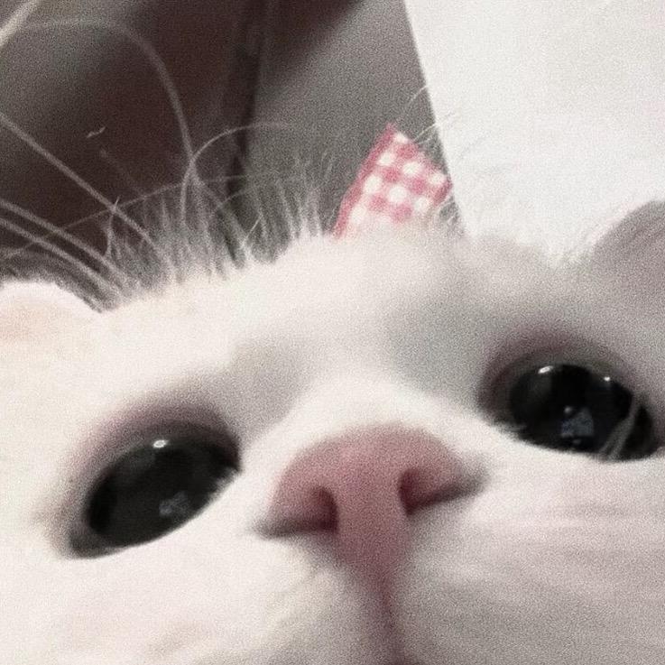 少加餐1