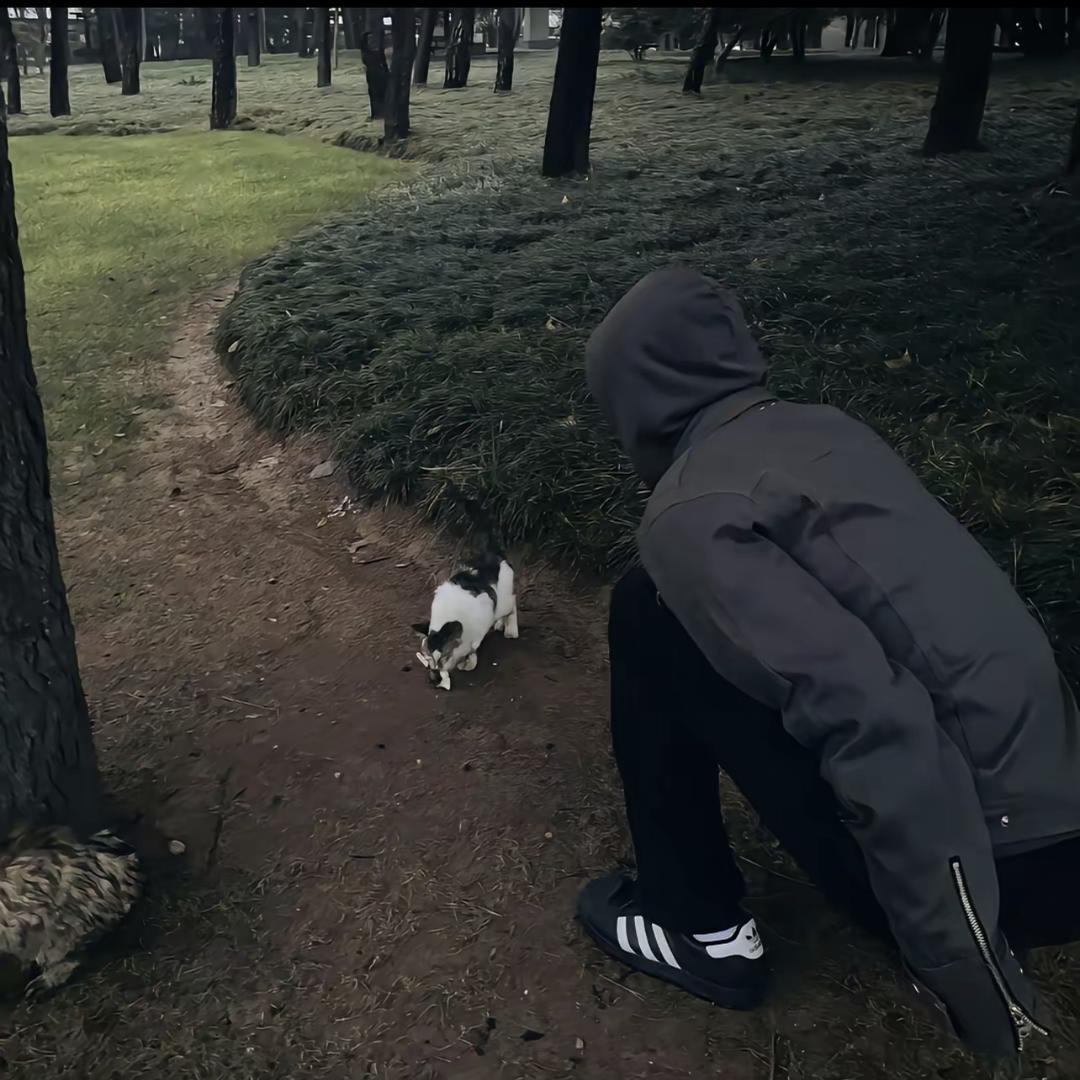 重生之我在厕所卖盒饭