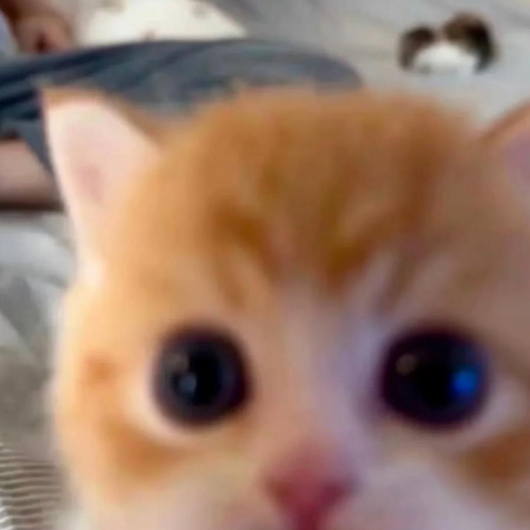 KEe_