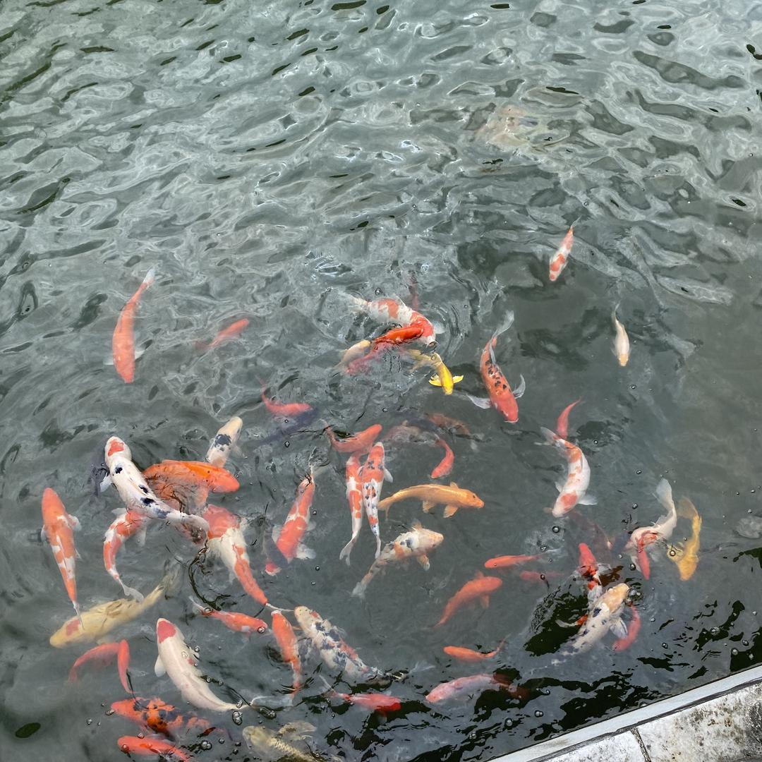 孔明珠宝甄选