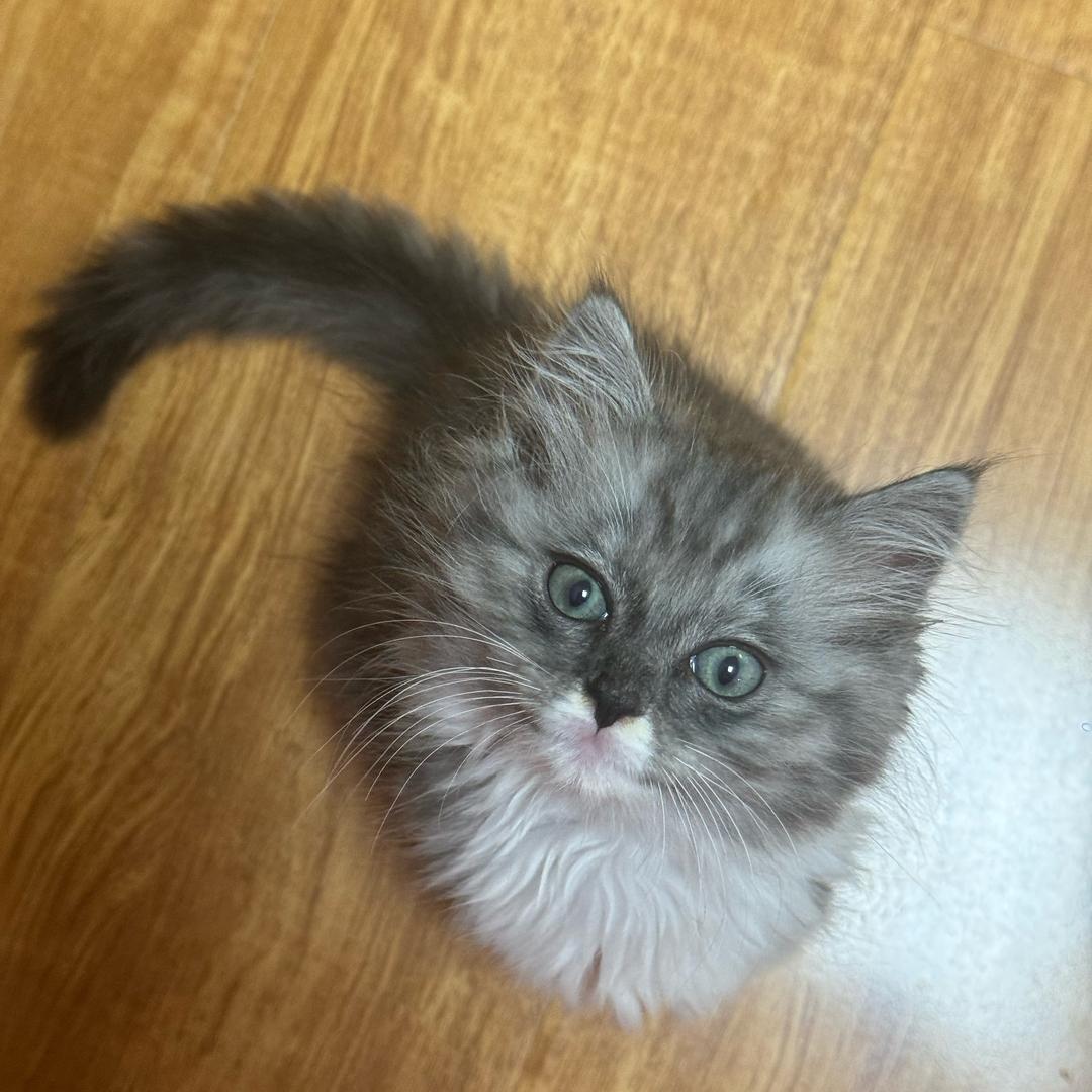 温暖.