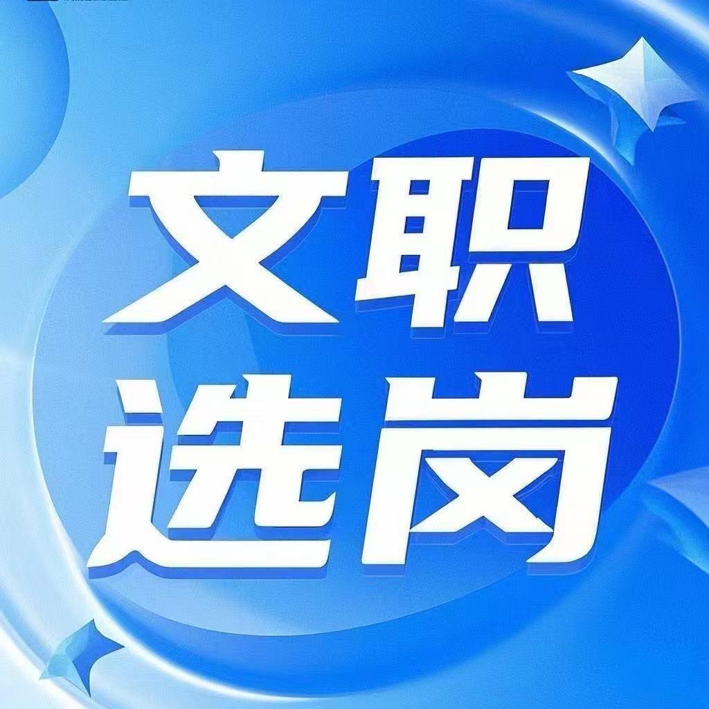 智启文职-张老师