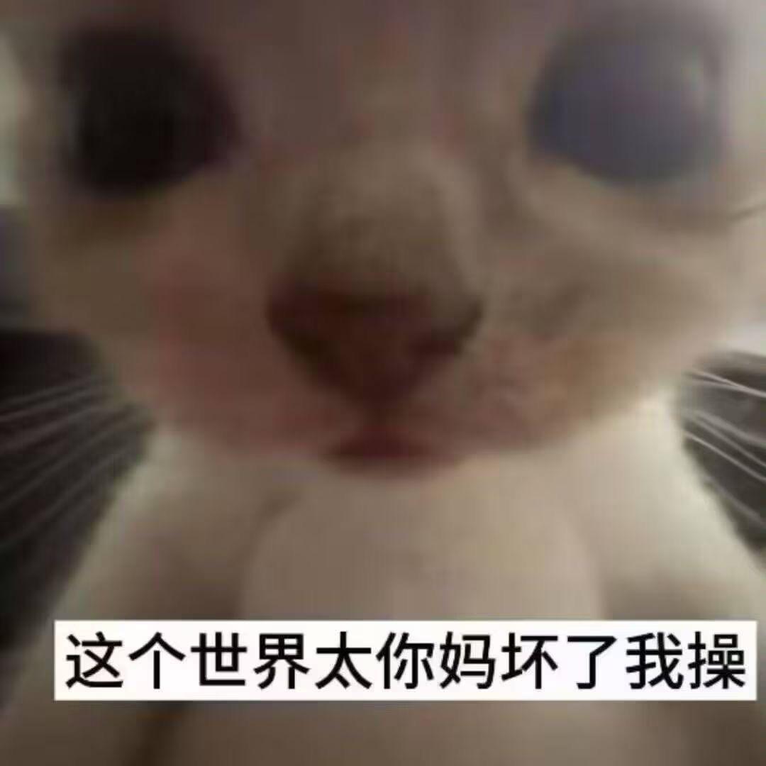 dyc0h3if35u4