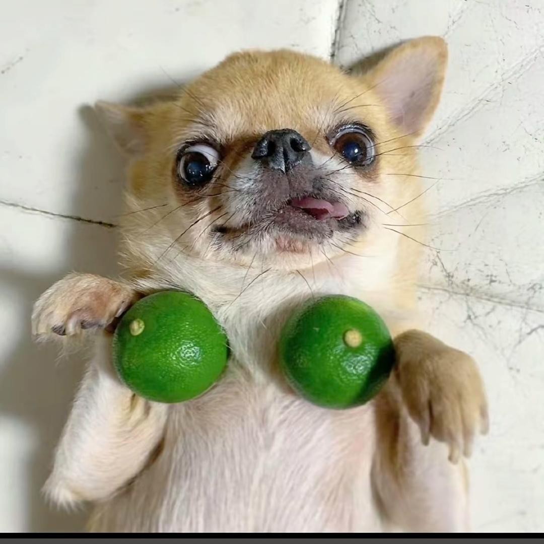 谢谢家里有拆迁款了