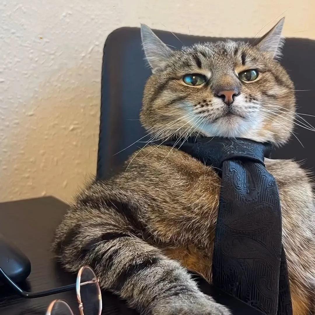 狗狗蛋