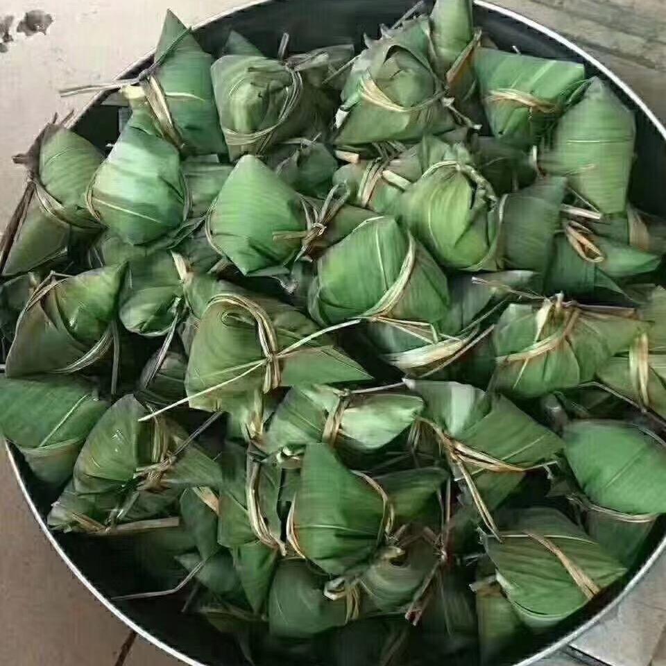回归的燕子