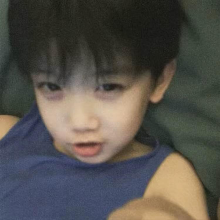 让风替我告别