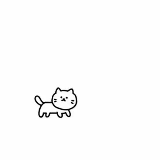 ➰一生何求