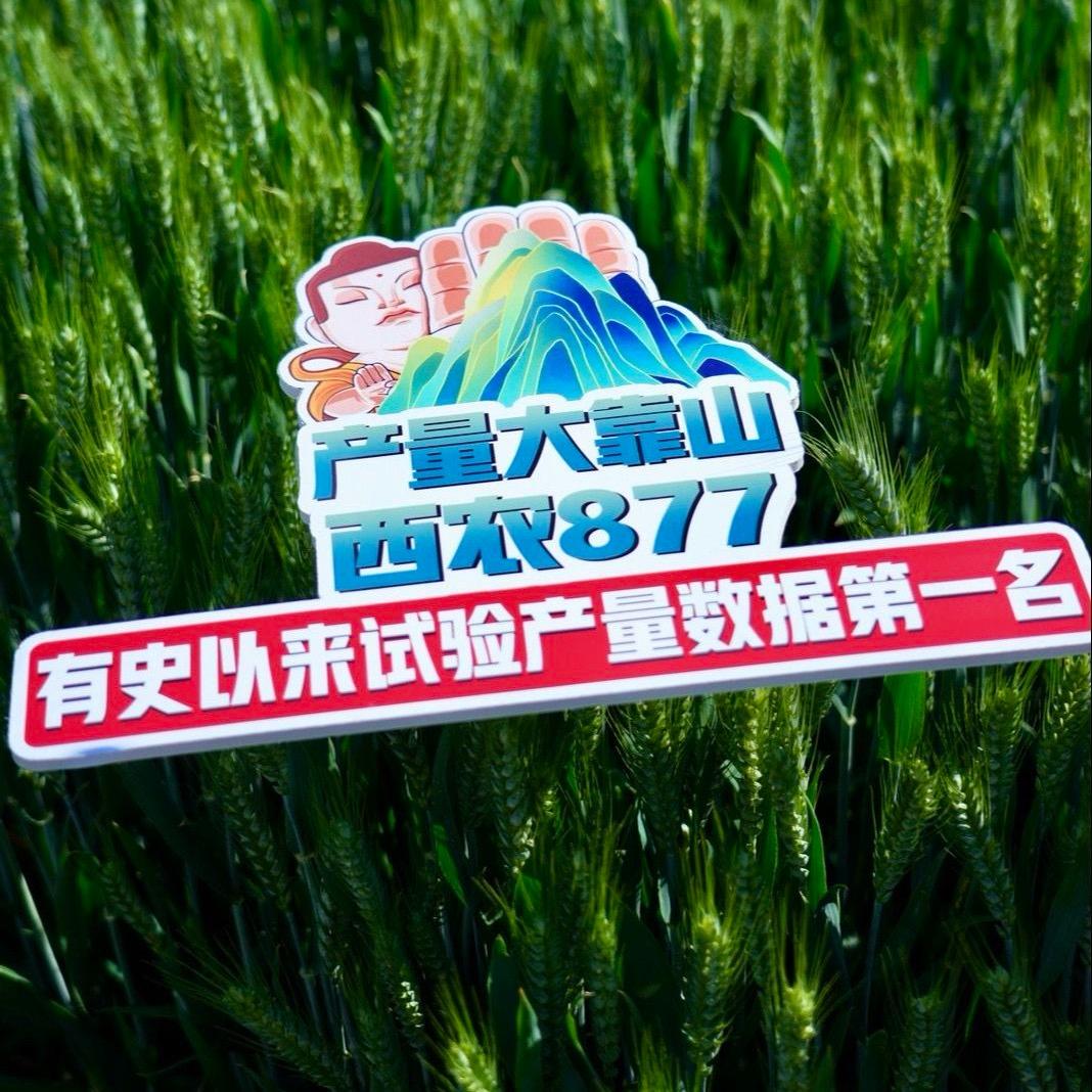 祥盛种业