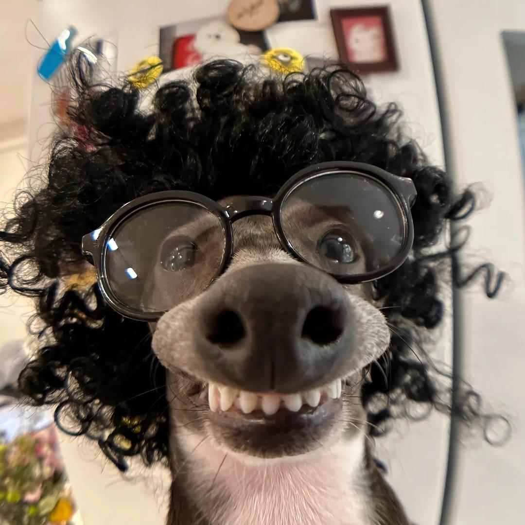 轩轩（单招招生版）