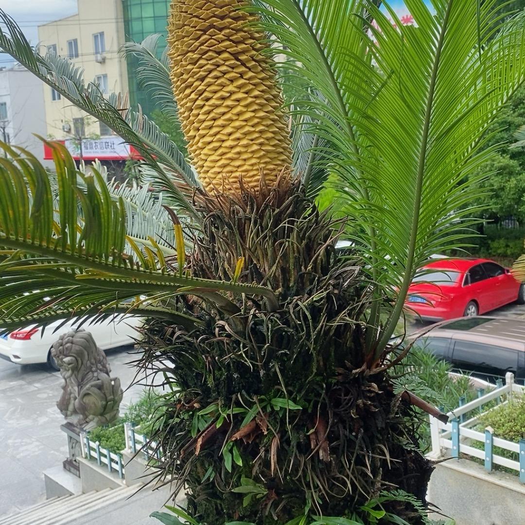 幸福满仓