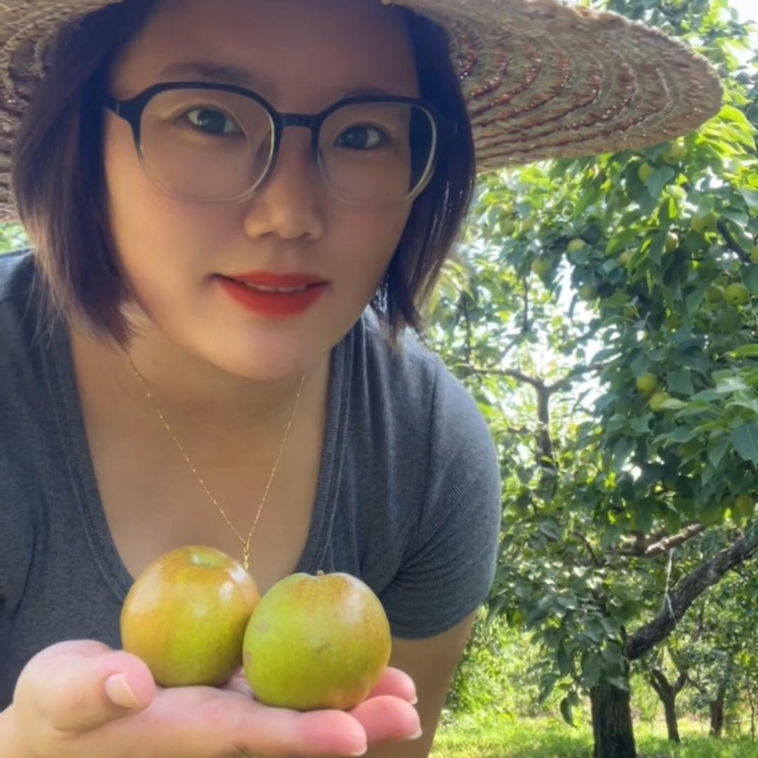 鞍山晓丹南果梨