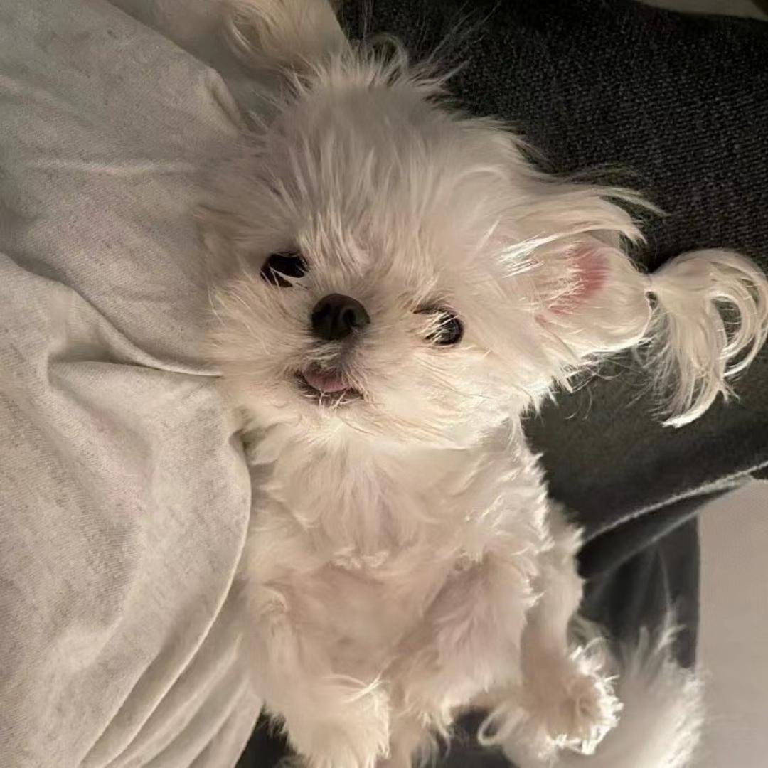 Mini怡.