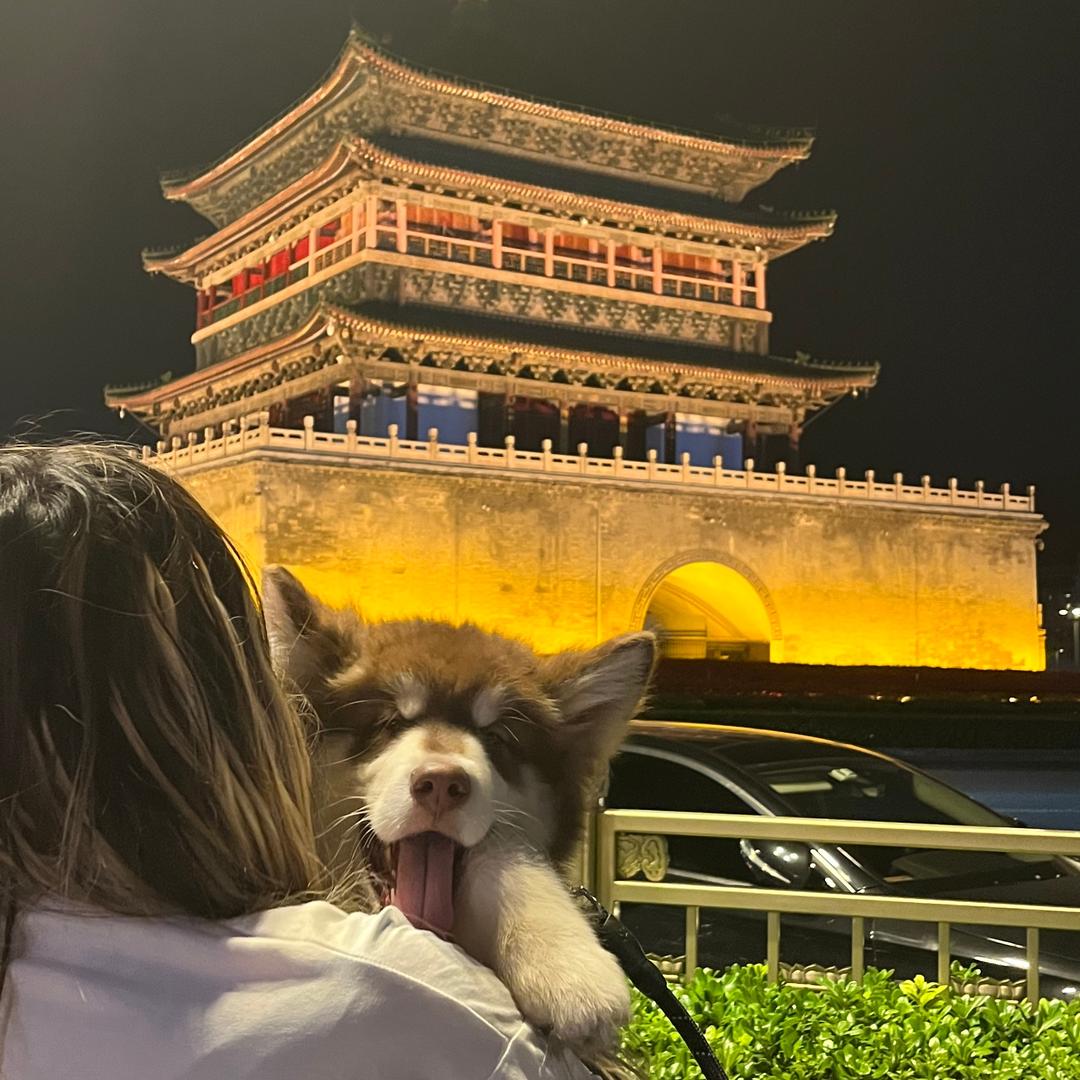别再遇豆豆