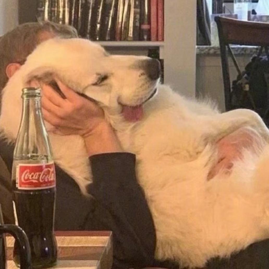 ：/