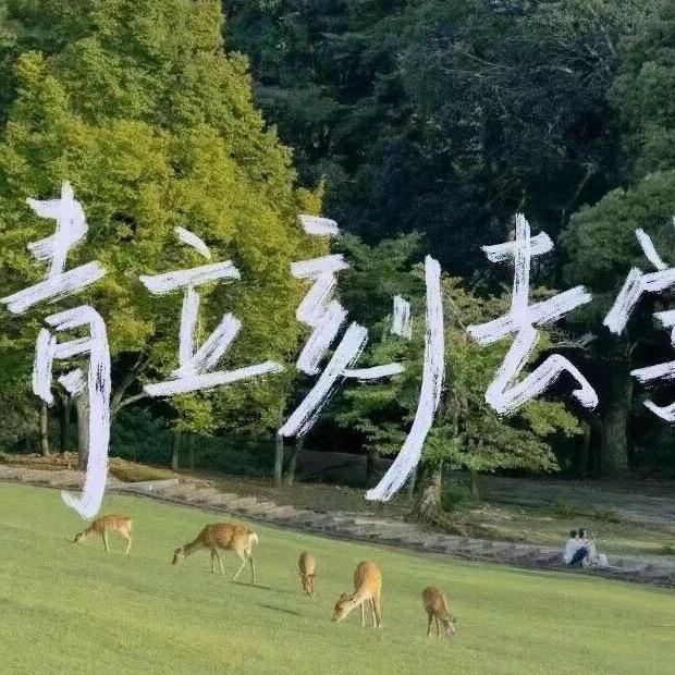 13千万弟子之一