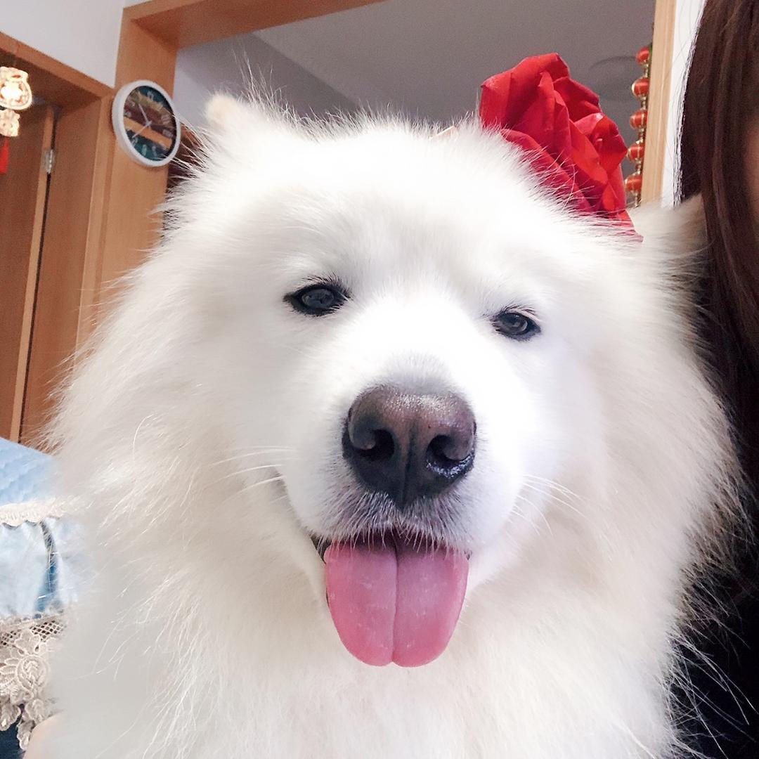其其💋