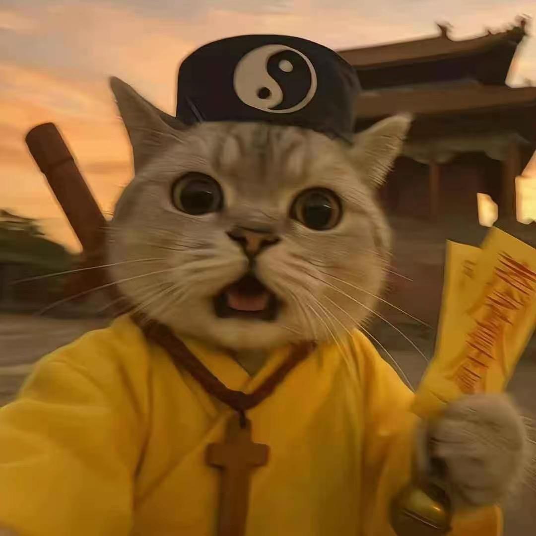 山谷里面当大王