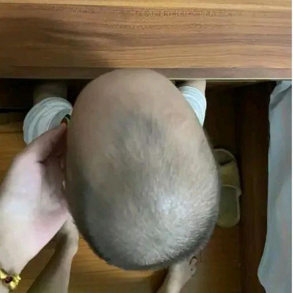 失忄失的马