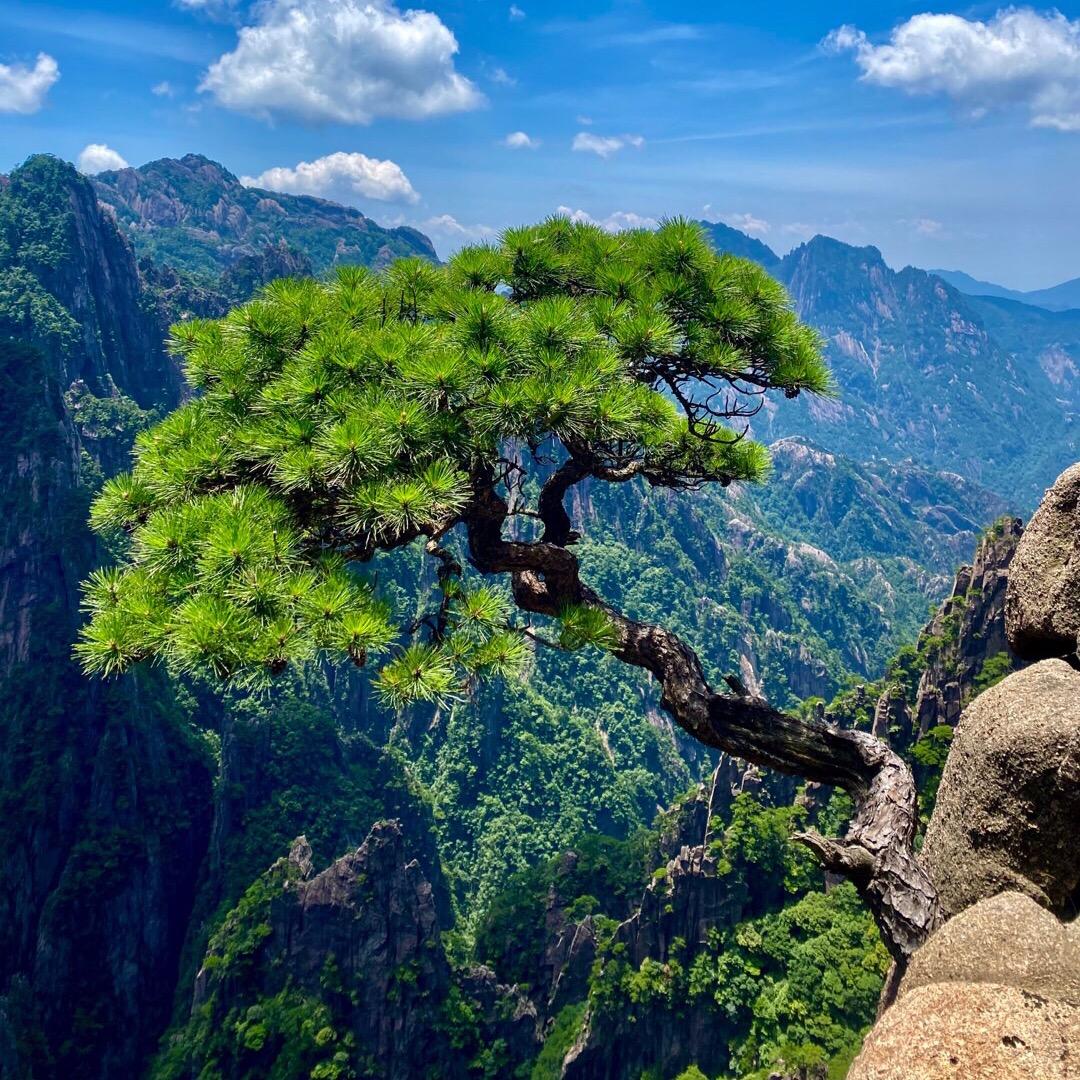风一样的男子