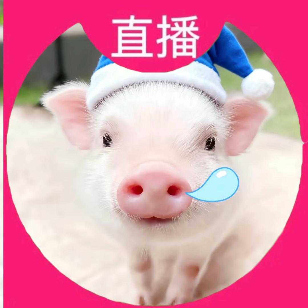 惭愧