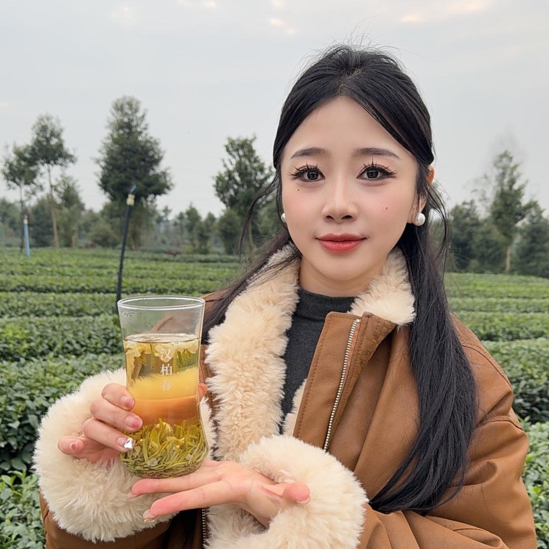 汉柏春茶叶甄选店