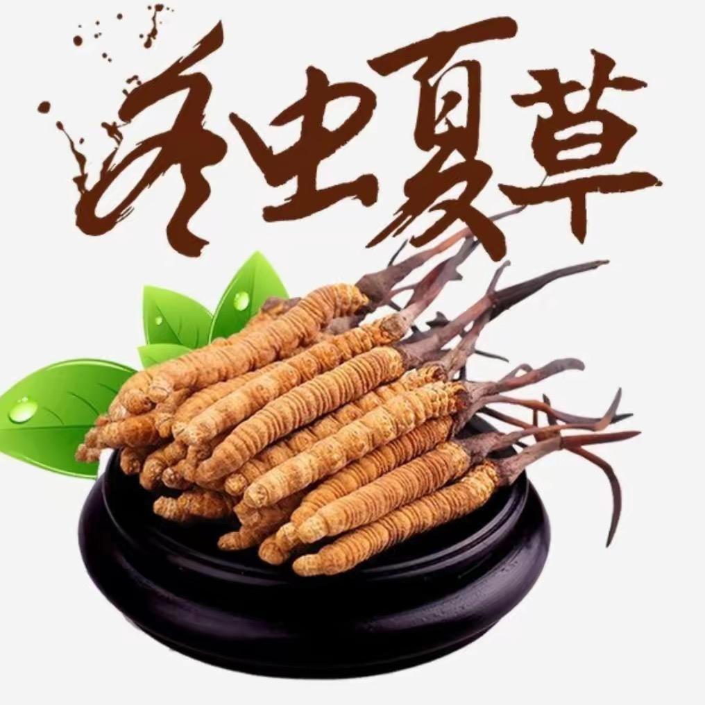 虫草进万家（中国冬虫夏草产业集团承办）